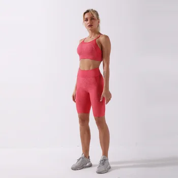 Fără Sudură 2 Bucata Set Pentru Femei Yoga Set De Antrenament De Talie Mare Fără Sudură Motociclist Pantaloni Antișoc Curea Sport Sutien De Sport Femei Set Sport Uzura
