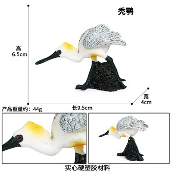 Geronticus Altolamprologus Animal Figura Jucarii De Colectie Păsări Animal Cognition Figurine Copii Din Plastic De Ciment Jucarii